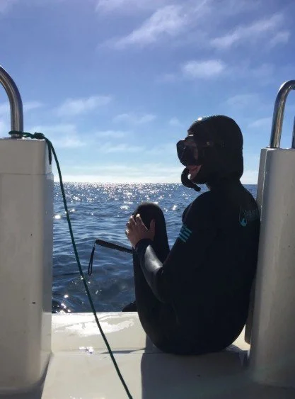 Screenshot 2026-01-11 143312.jpg