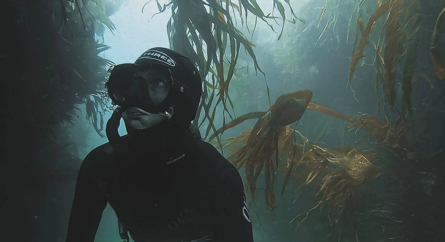 A woman freediving through a kelp forest in Ireland