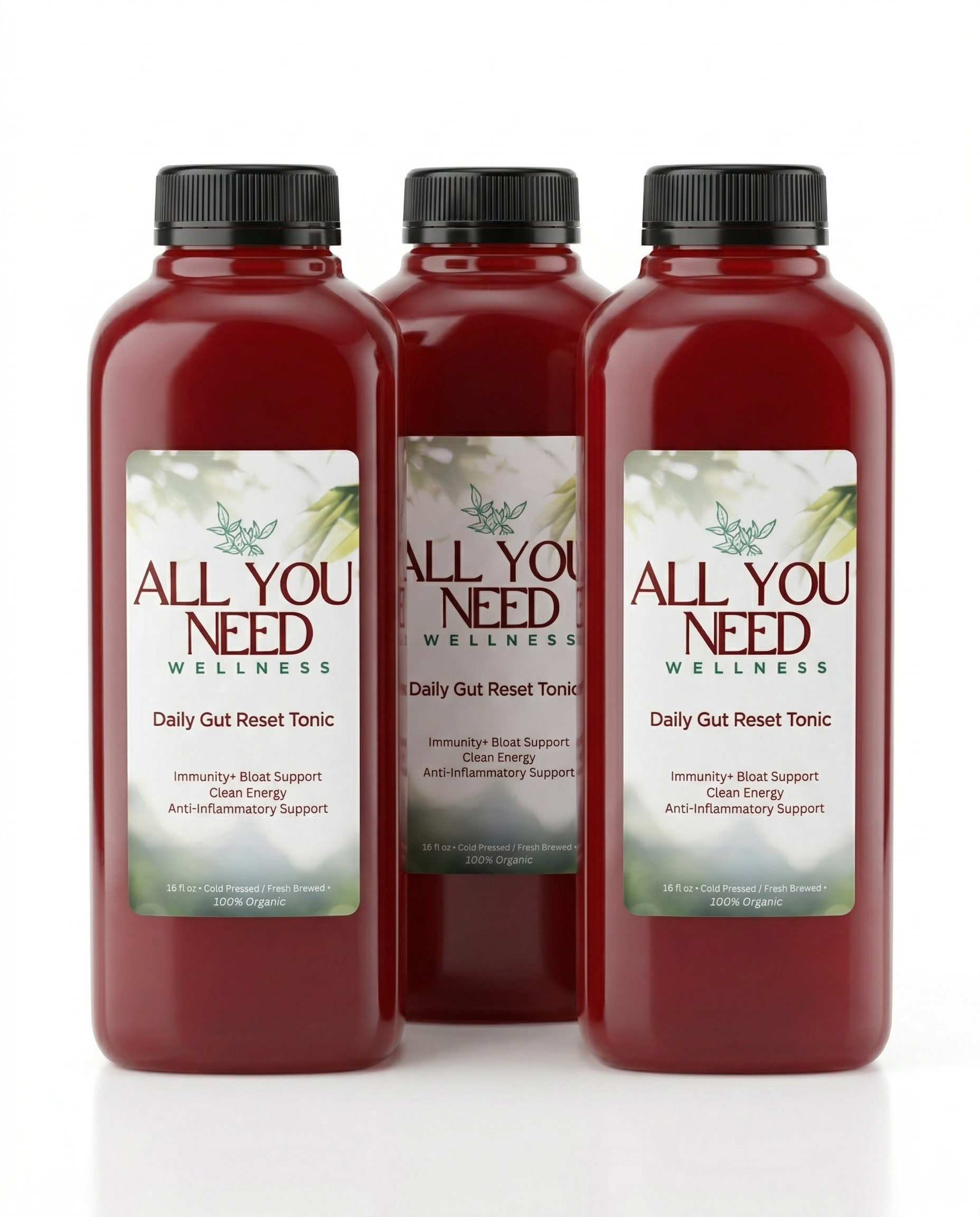 Daily Gut Reset Tonic 16oz