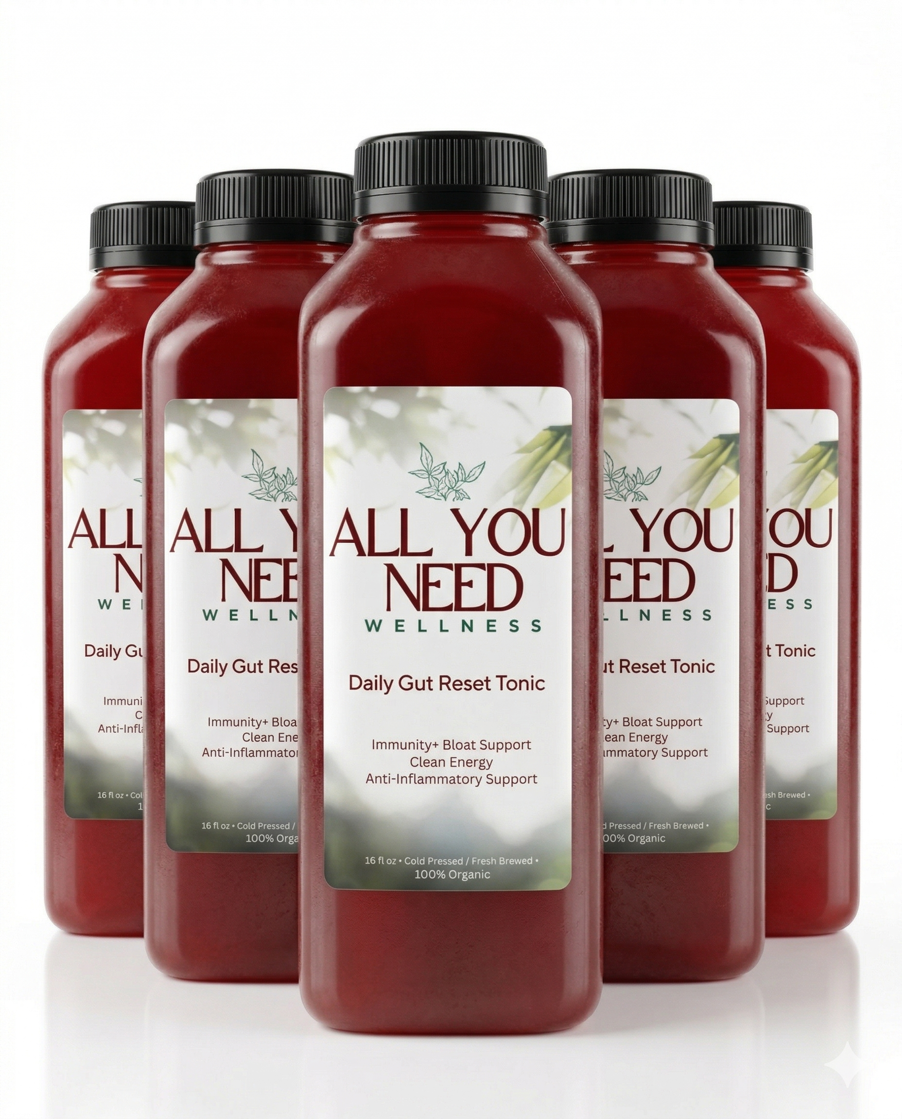 Daily Gut Reset Tonic 16oz