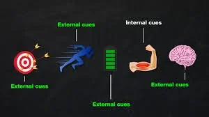 The Science Behind Internal vs. External Cues