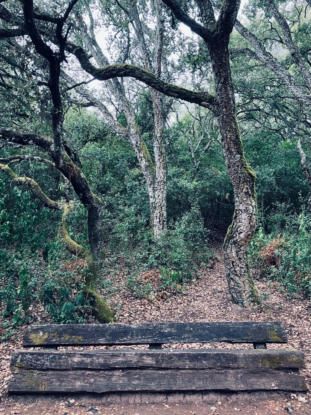 Nós e a Natureza