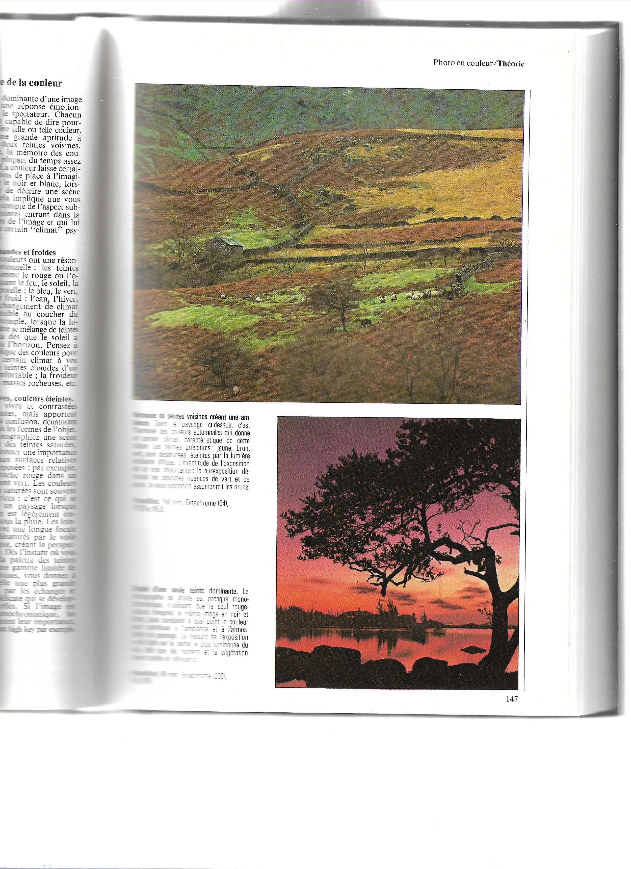 photos 2 ECKE LIVRES INSPIRATION.jpeg