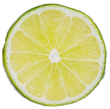 Cross-section of a lemon slice showing yellow pulp and green rind.