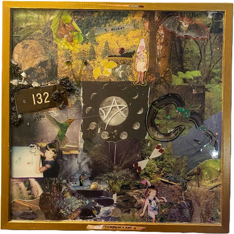 A collage of various images including animals like a bat, squirrel, and hummingbird, nature scenes, and miscellaneous objects, arranged within a wooden frame.