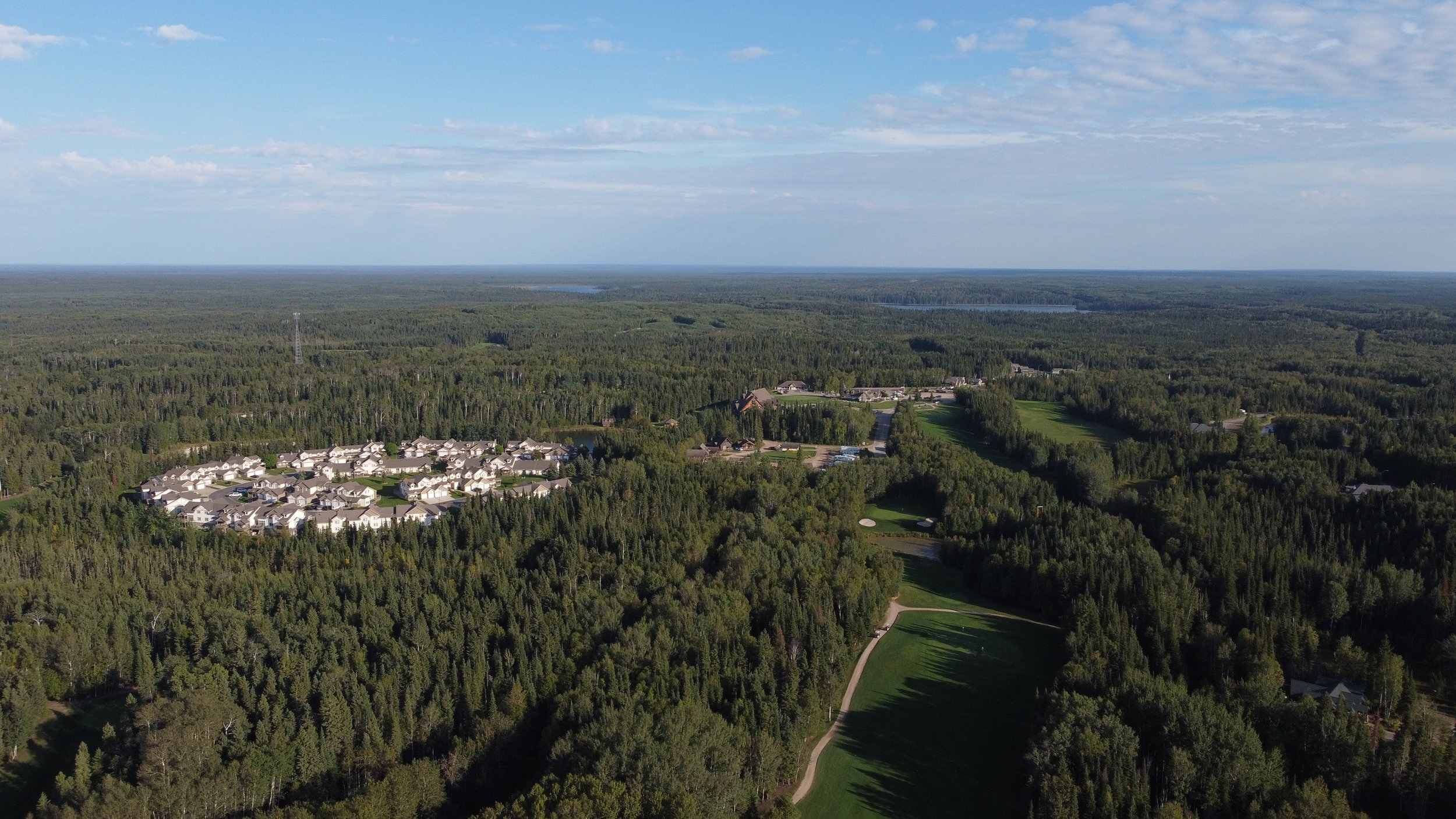 Aerial view of a suburban neighborhood surrounded by dense forest and a golf course, with a water body in the distance and a partly cloudy sky.