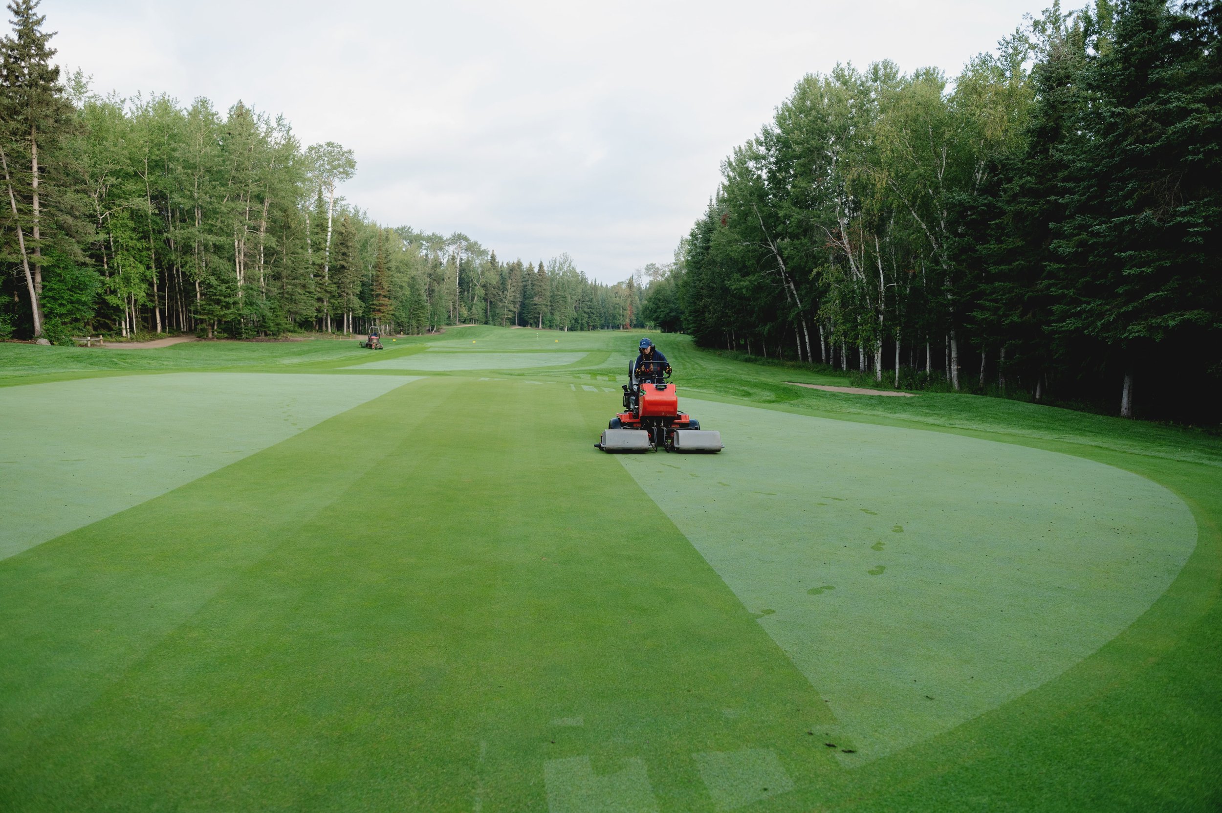 Resort Groundskeeper