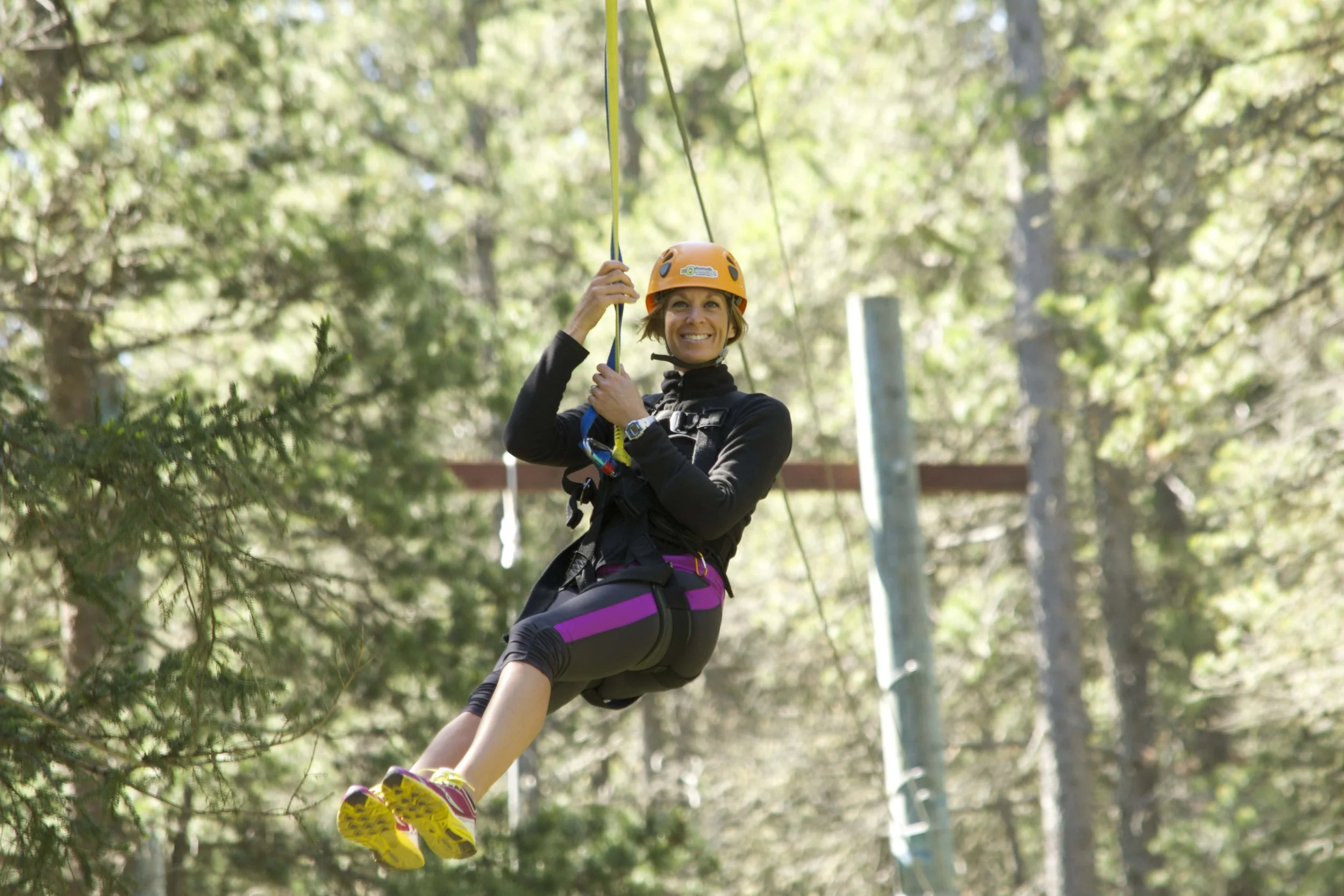 Treeosix Adventure Park