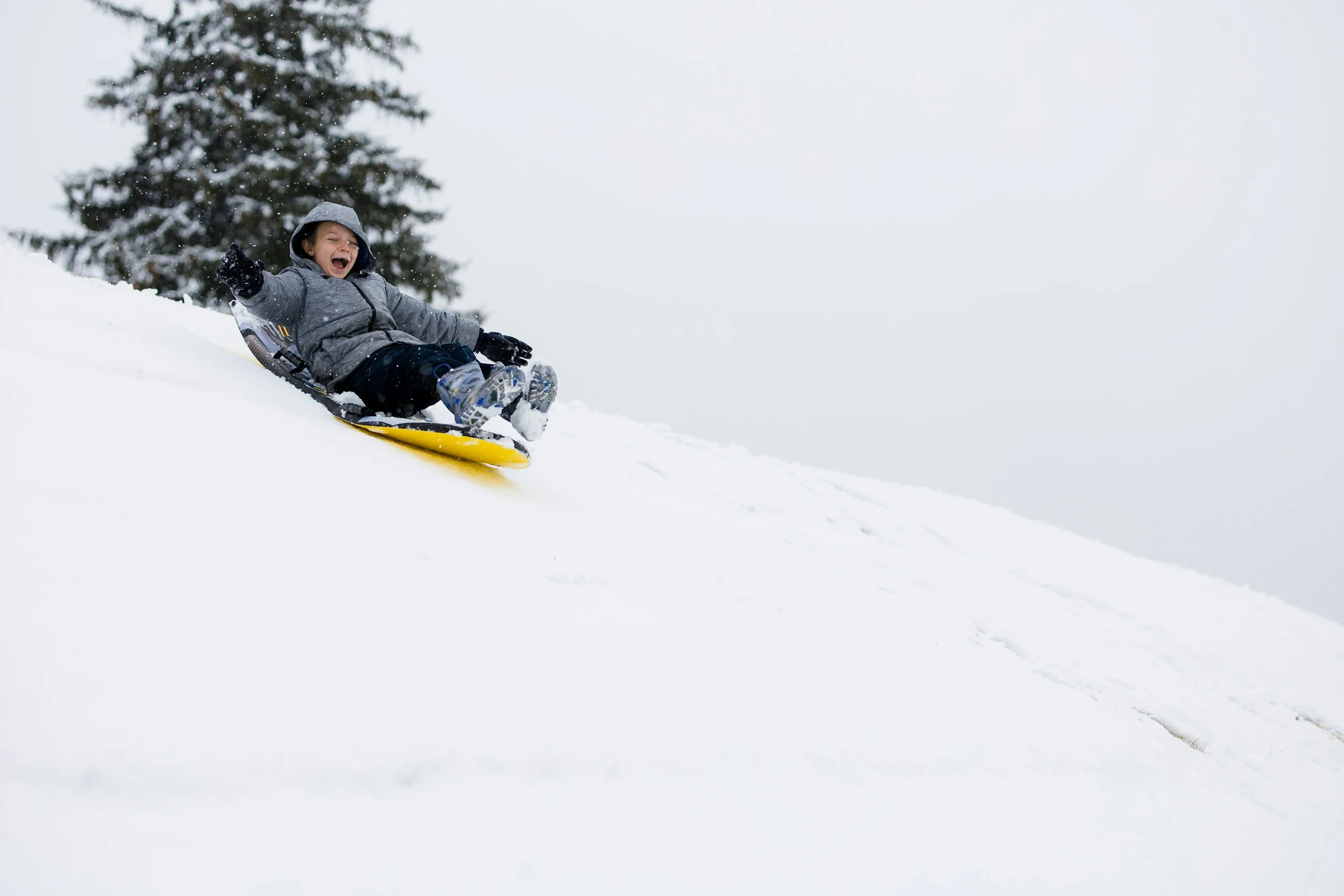 Tobogganing