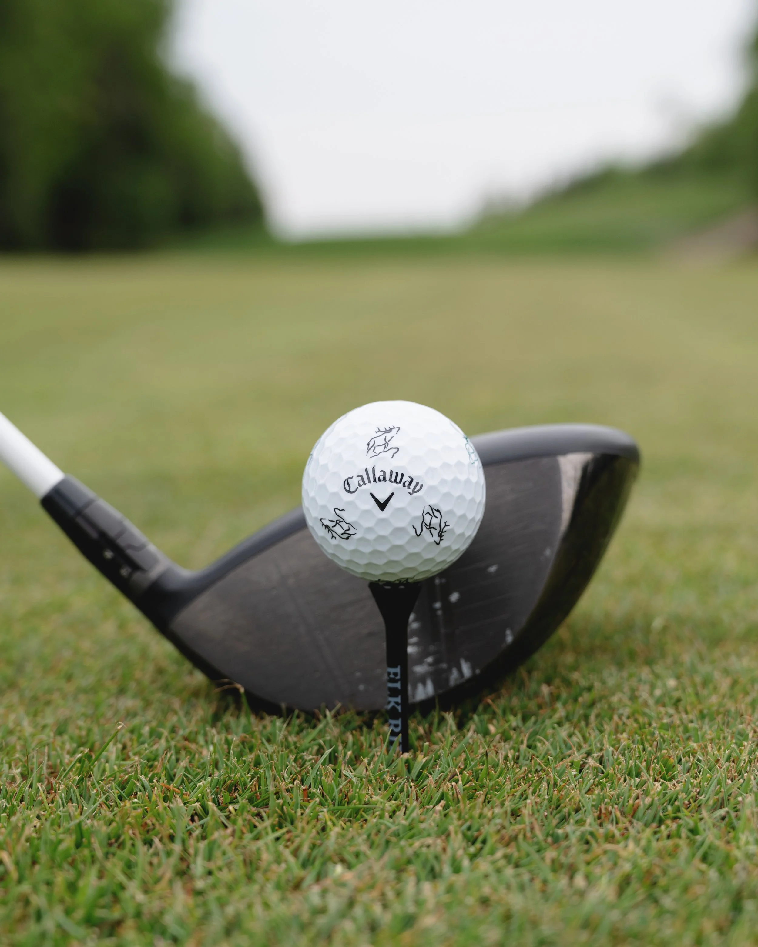Callaway Performance Fitting Event