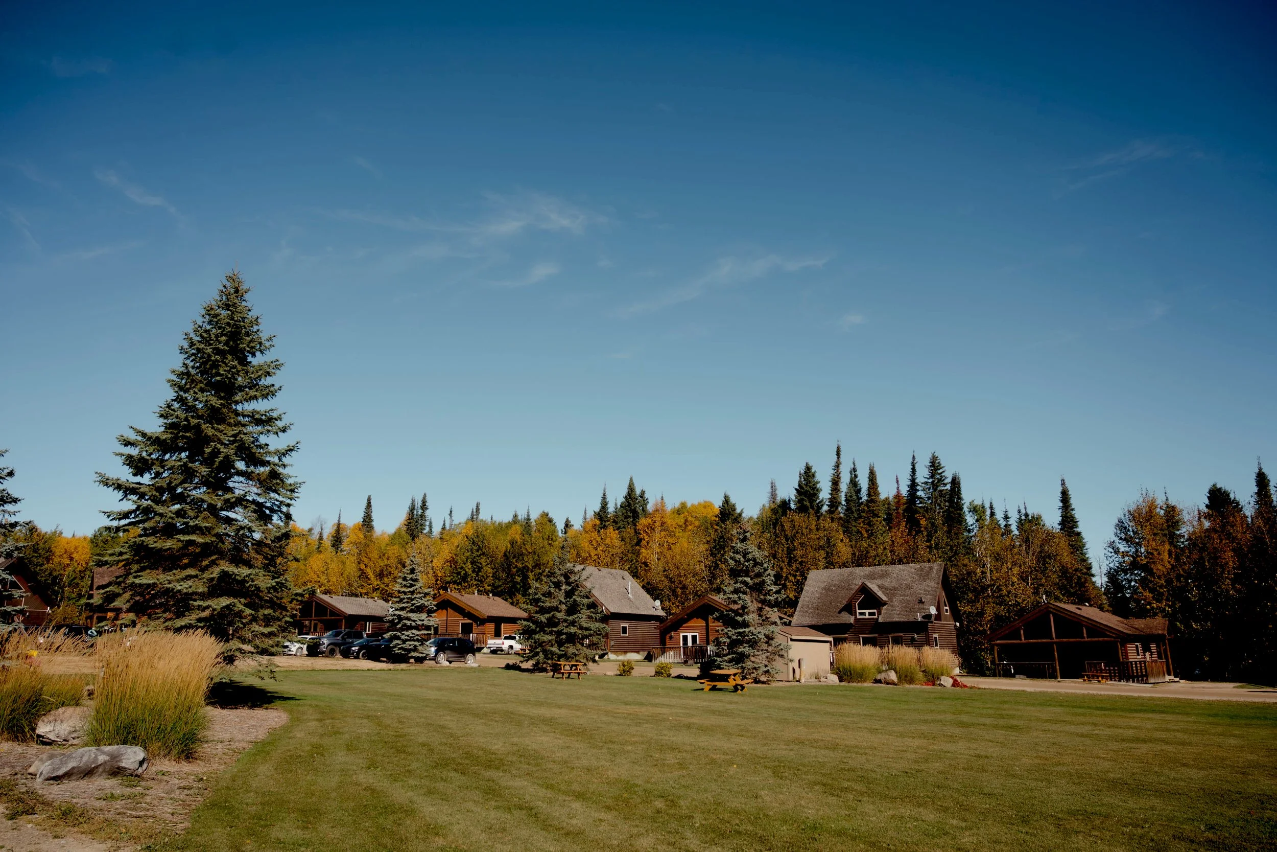 A residential neighborhood with colorful trees, brown houses with dark roofs, a green lawn, picnic tables, and parked cars under a clear blue sky with some light clouds