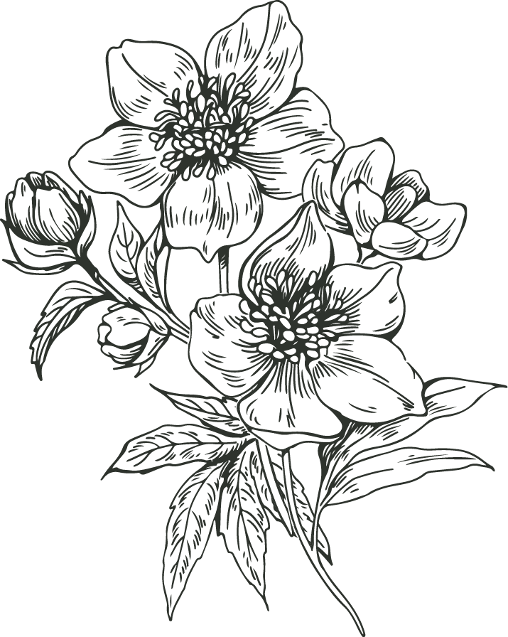 Line drawing of a bouquet of blooming flowers and leaves.