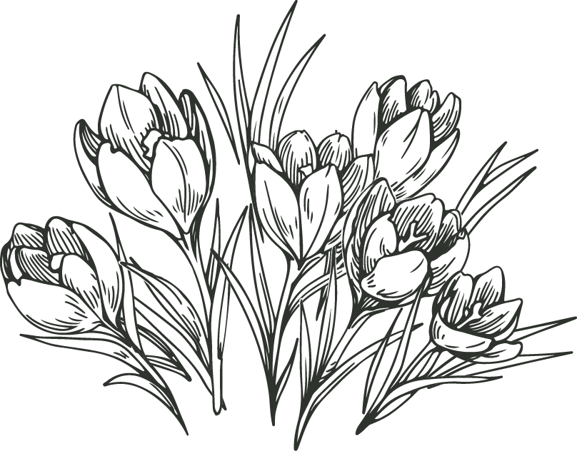 Black background with a white line drawing of a bunch of tulips and grass.