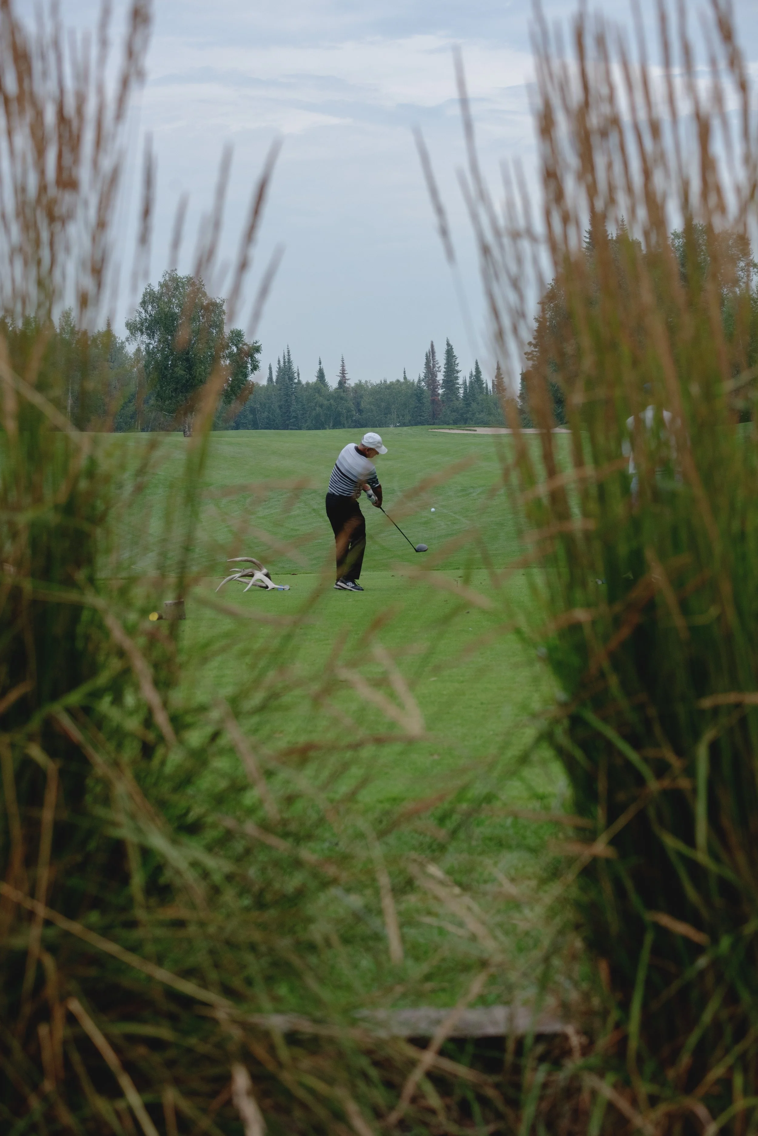 A golfer taking a shot on a golf course, framed by tall grass in the foreground and trees in the background.