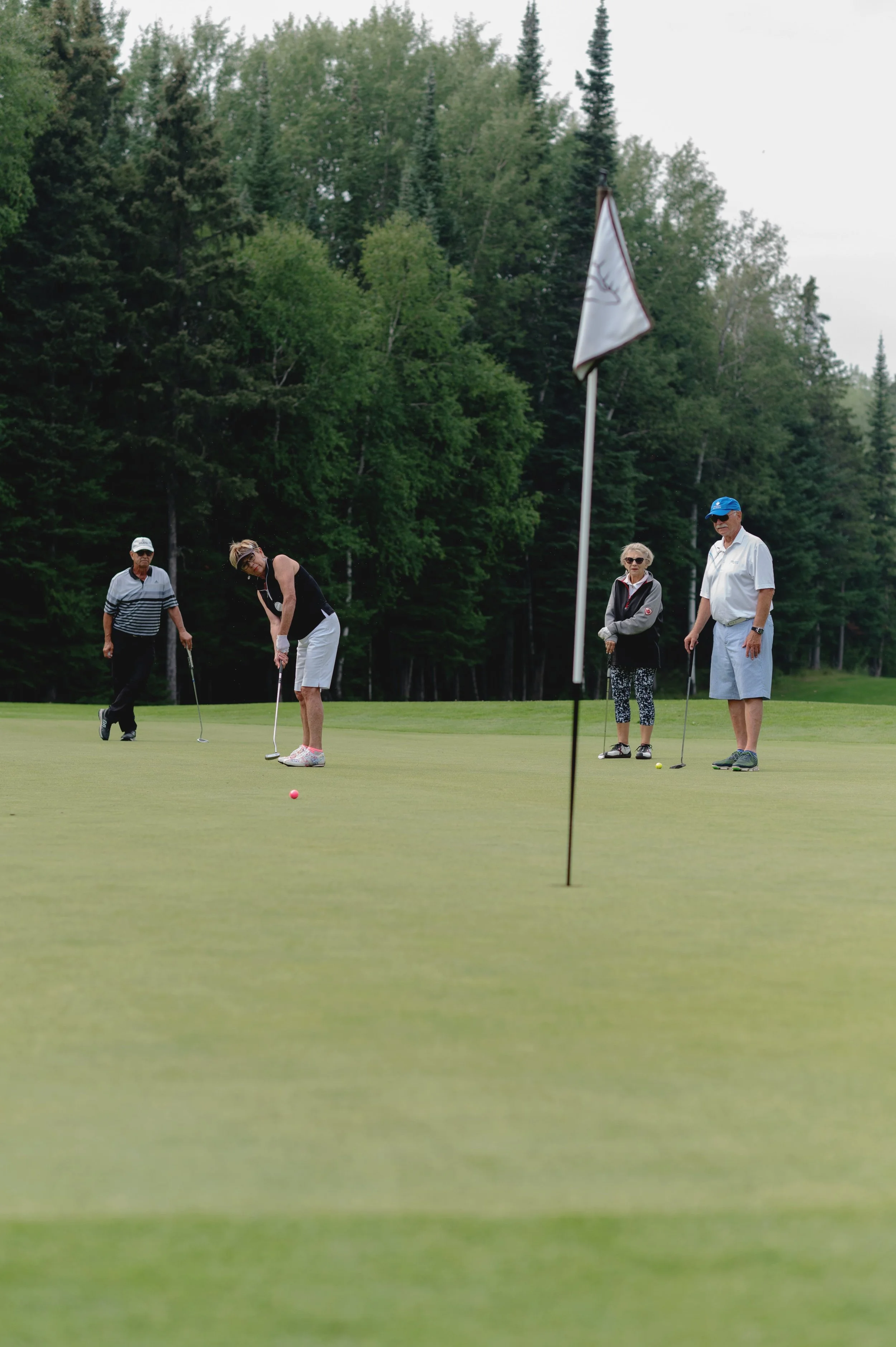Four people playing golf on a green, with trees and a flag in the background.