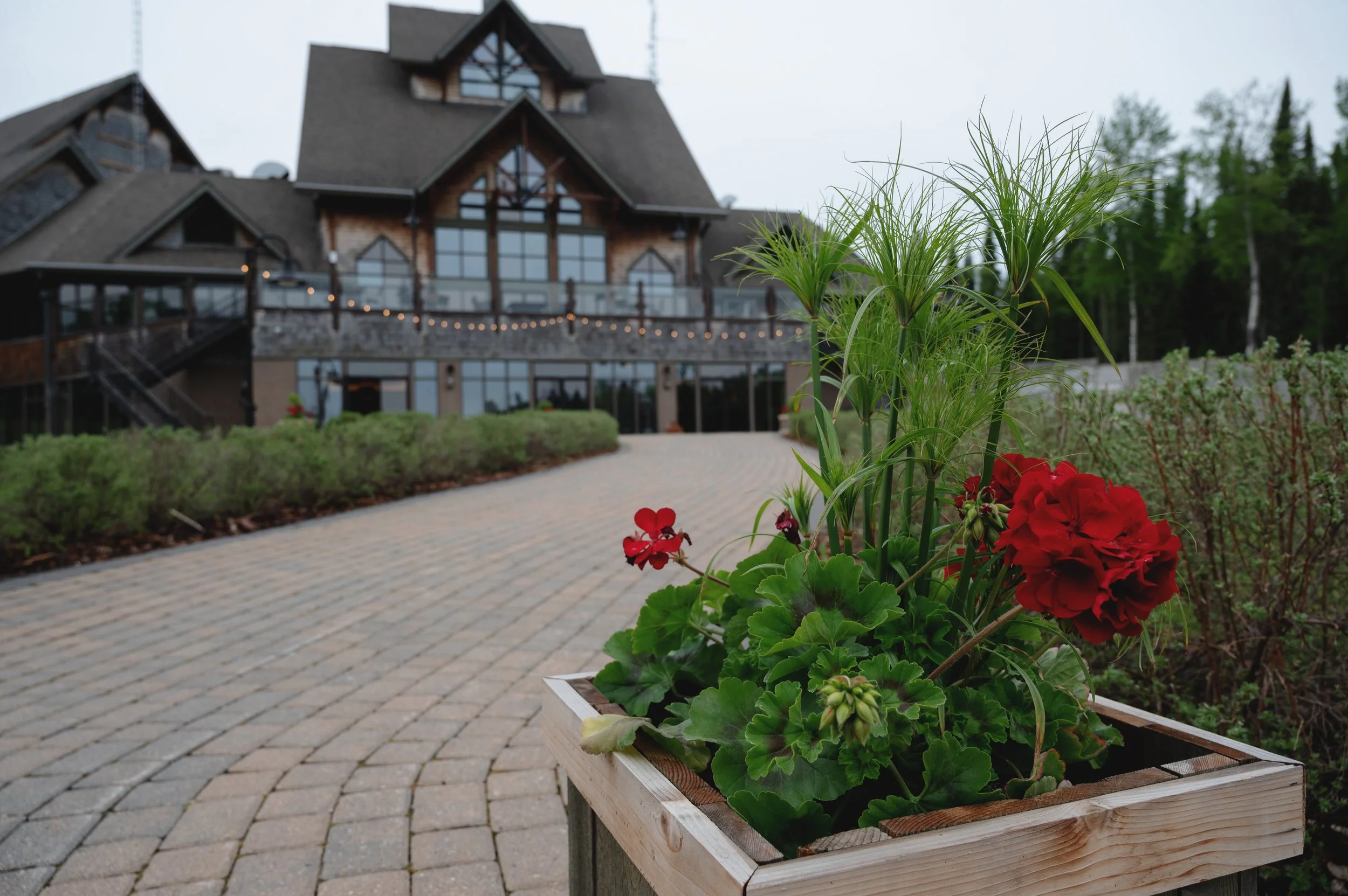 A wooden planter box filled with red and green foliage flowers on a paved walkway in front of a large, modern house with multiple levels and string lights, surrounded by trees in the background.