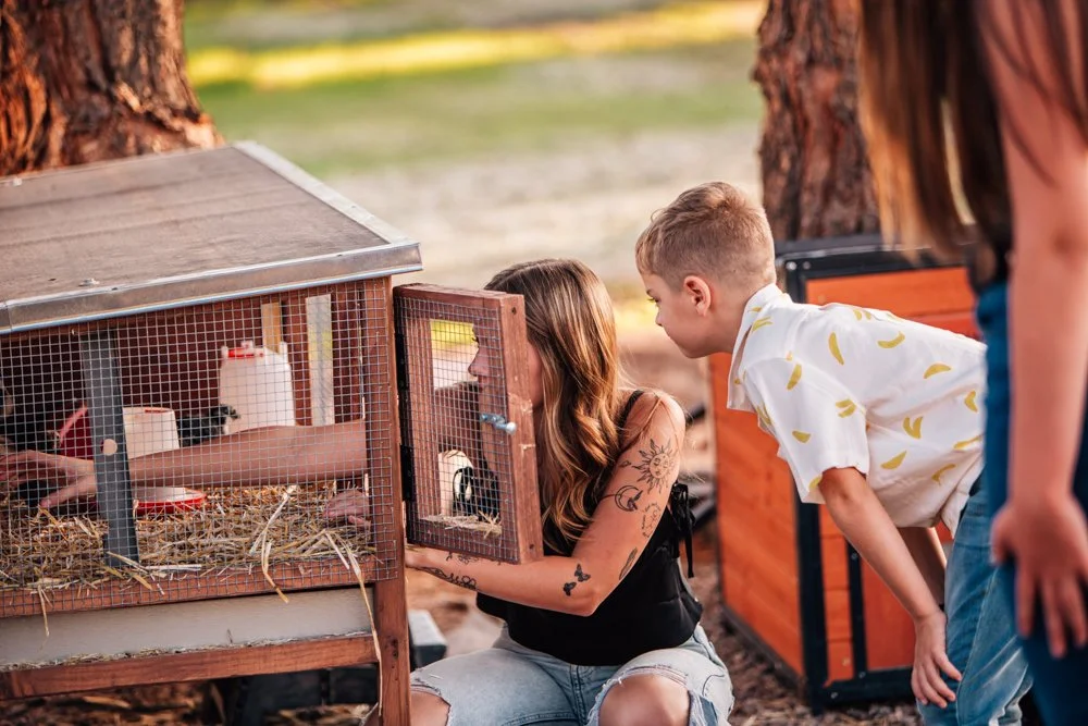 A woman and two children look at a rabbit inside a wooden cage with a wire mesh, outdoors near trees.