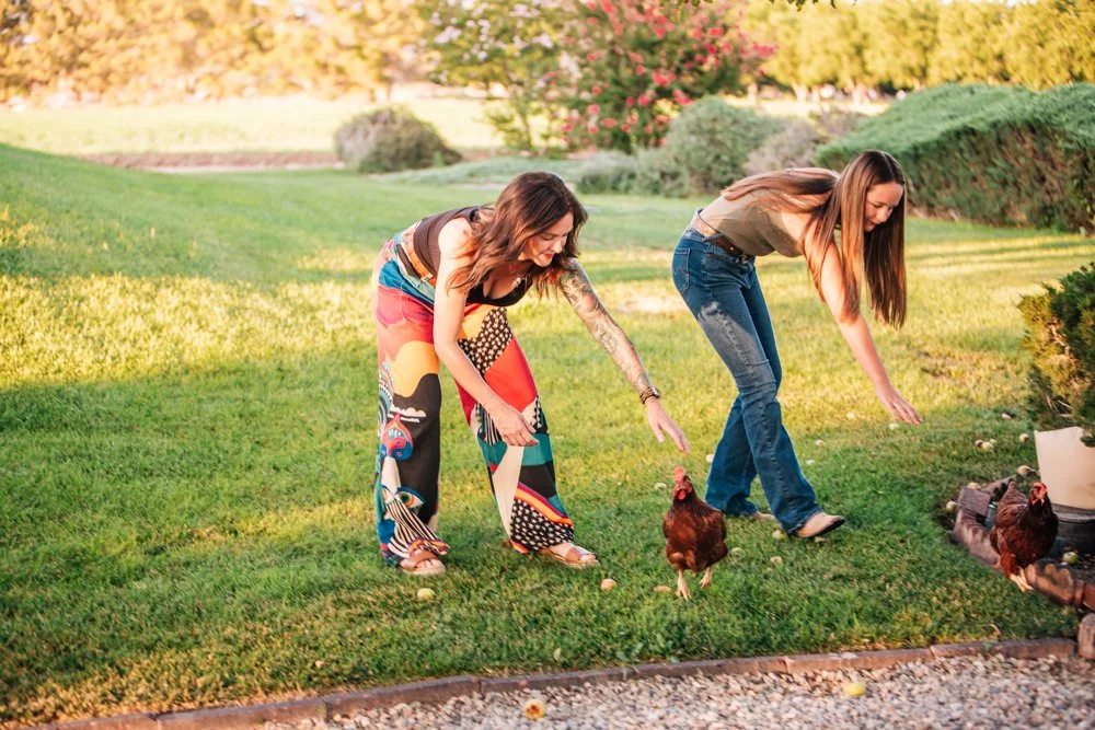 Two women in a park feeding chickens on a grassy area during sunset.