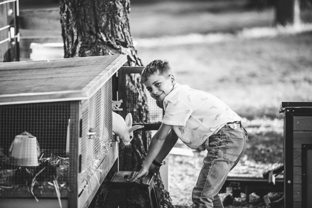 Child feeding a rabbit in a small outdoor enclosure in a park, with trees in the background.