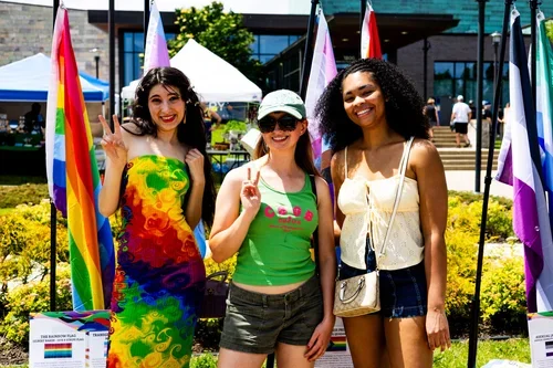 Pride Festival Crowd