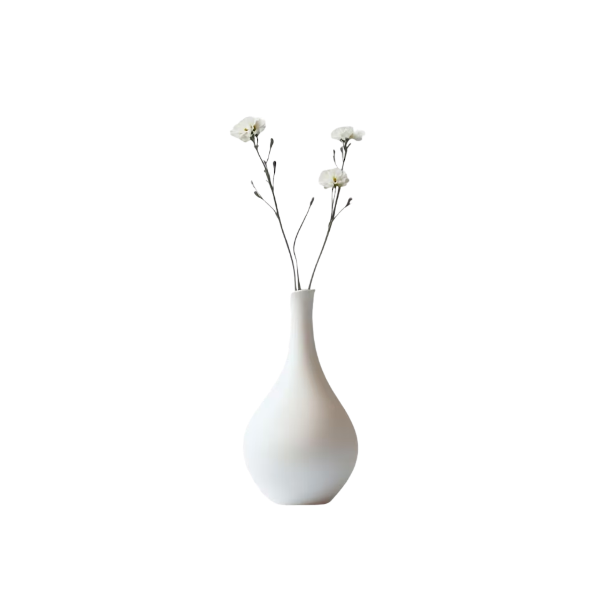 Un jarrón blanco con flores blancas