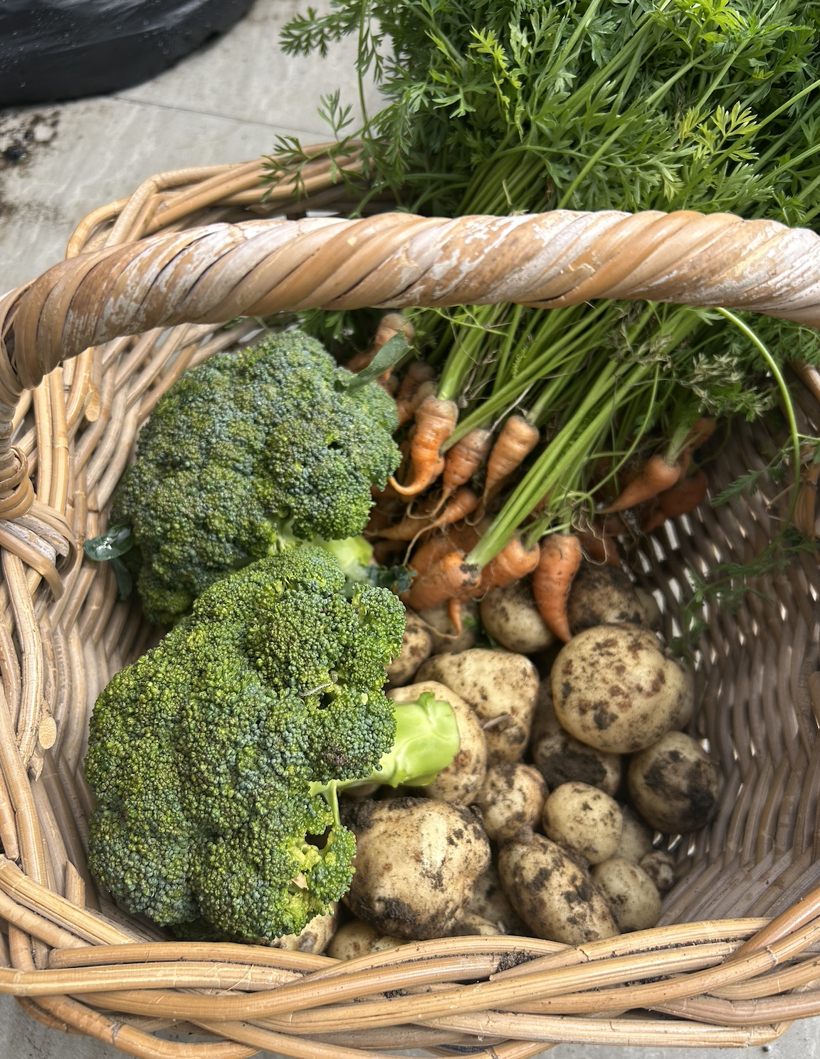 Screenshot 2026-03-18 at 15.21.27.png