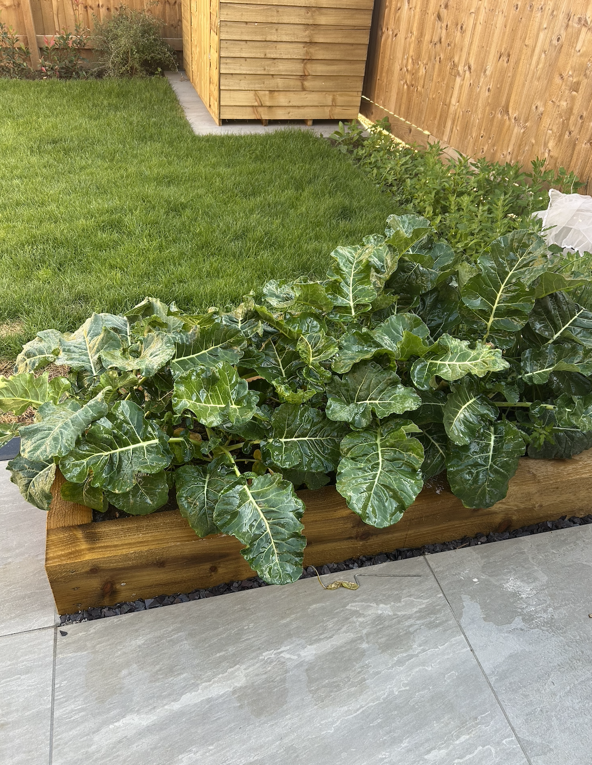 Screenshot 2026-03-18 at 15.20.59.png