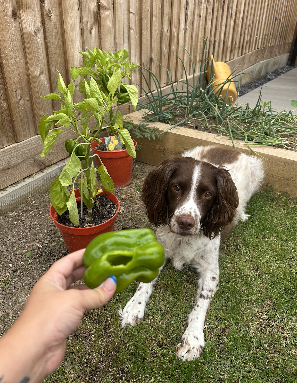 Screenshot 2026-03-18 at 15.21.11.png