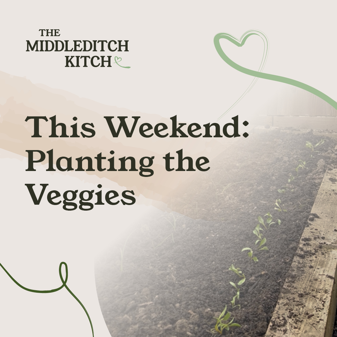 This Weekend: Planting the Veggies