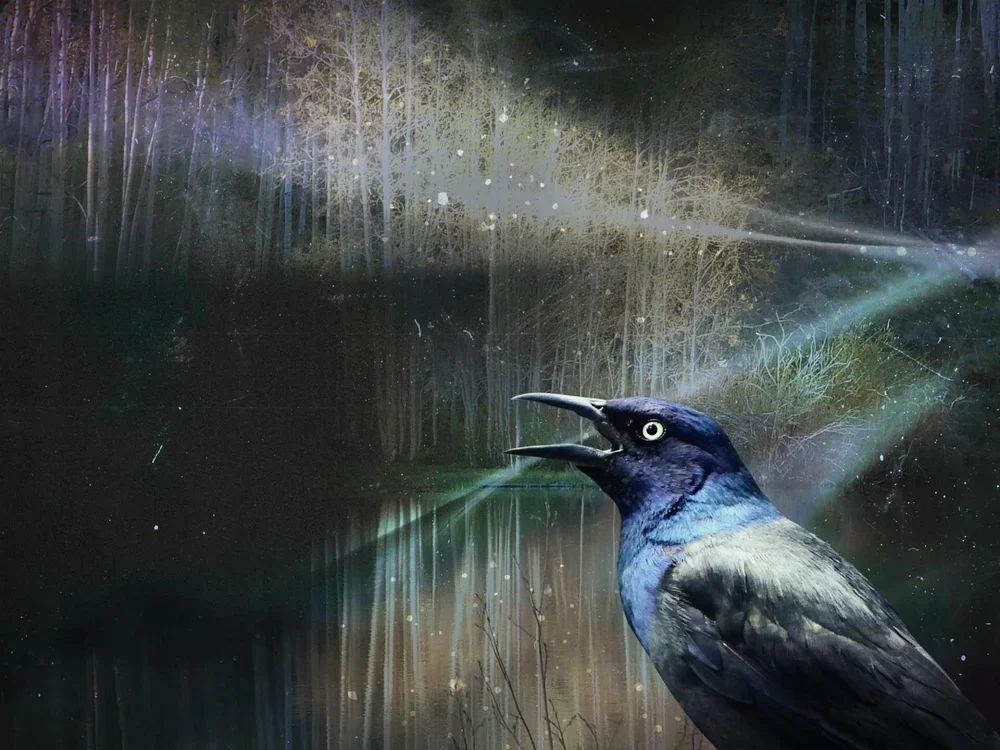 Wild Things: Animals Known & Imagined