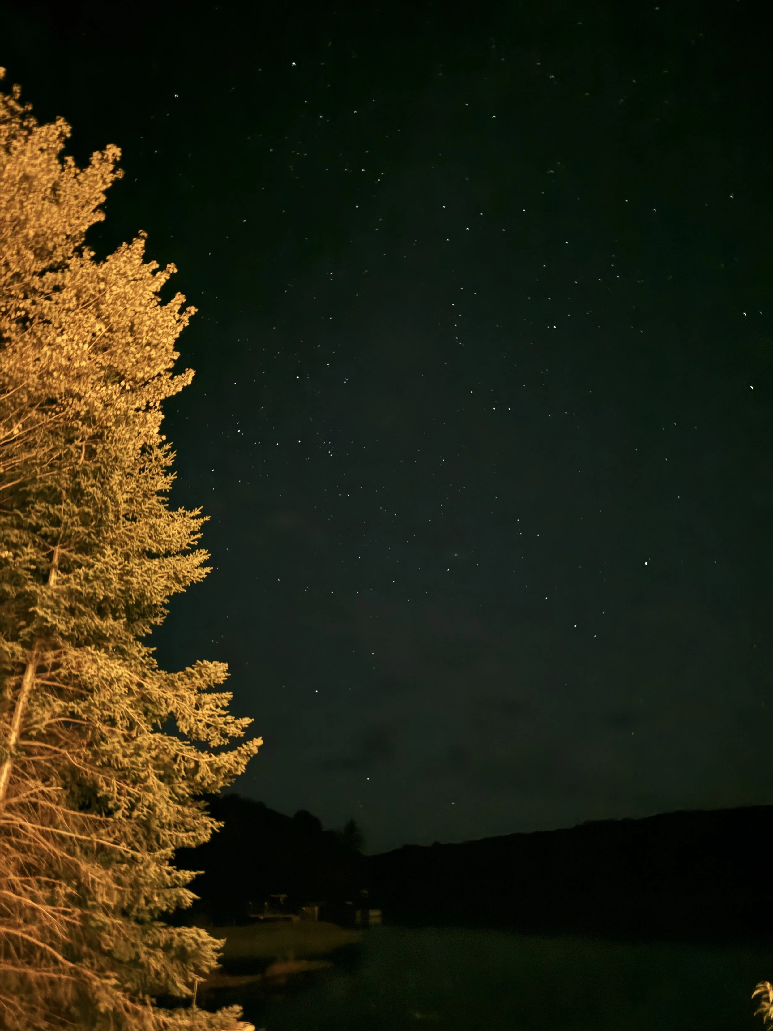 Gloucester National Honors Art Society Students at Cove Gallery