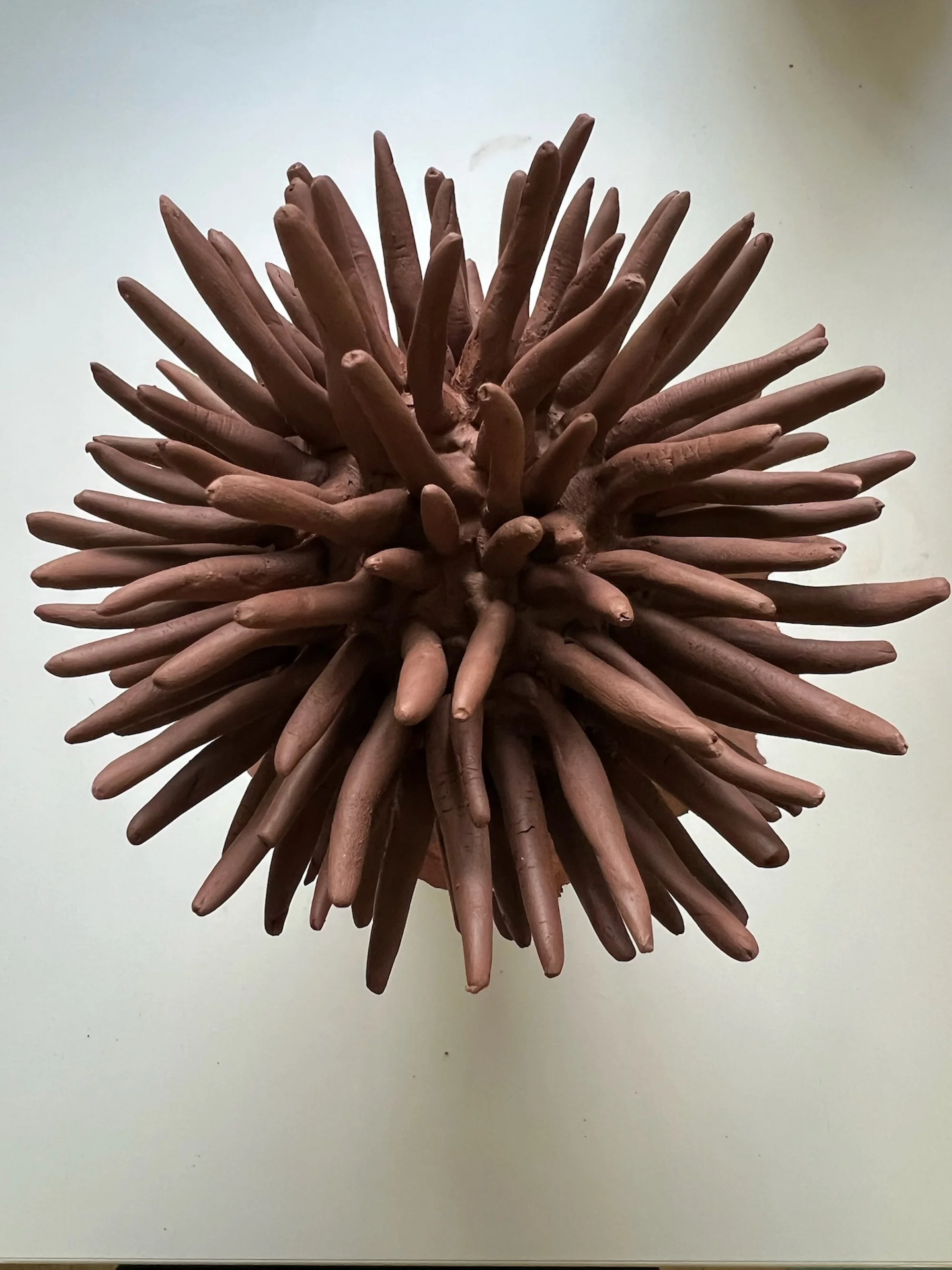 Closing Reception: Interconnected
