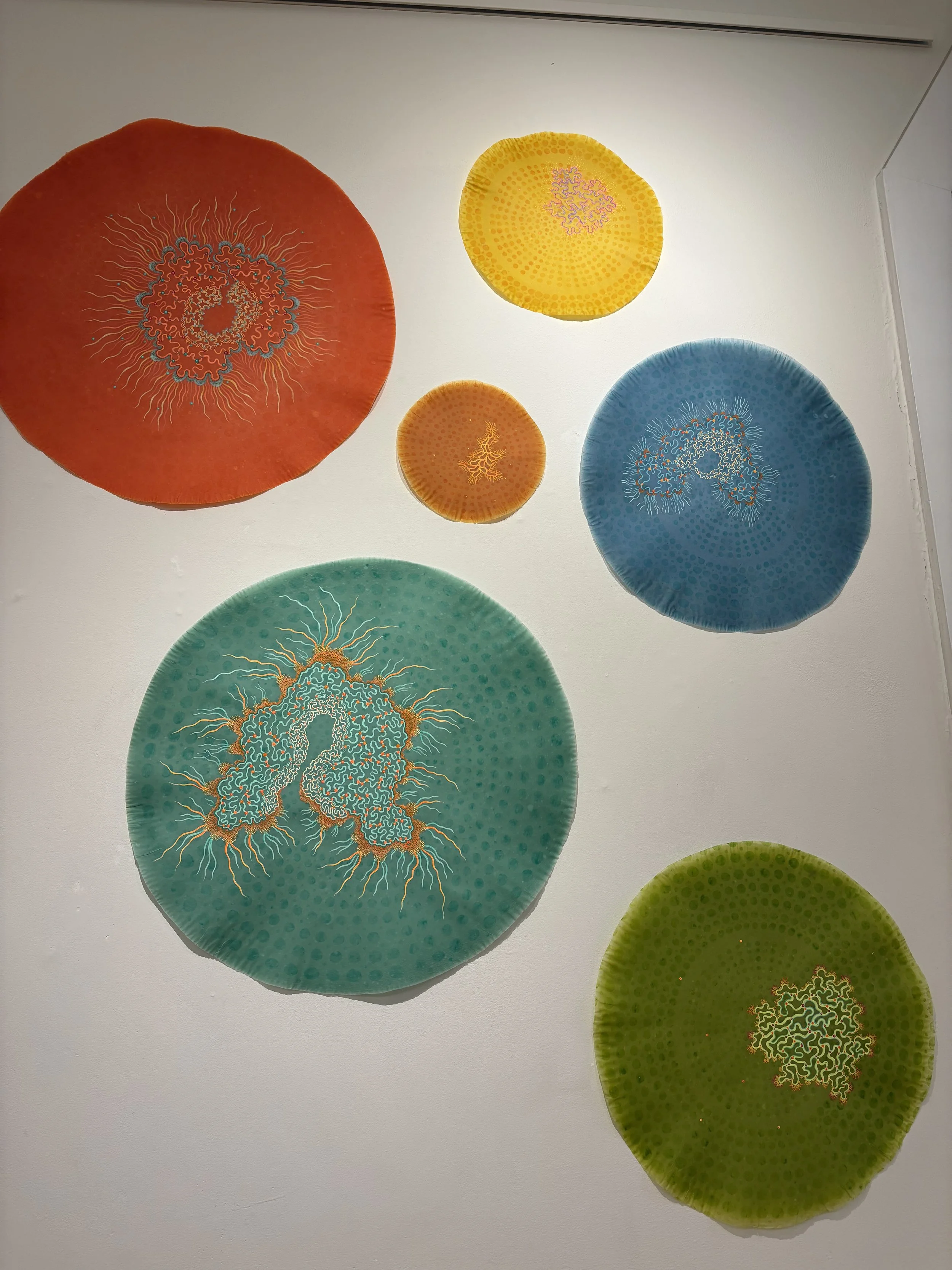 Colorful circular art pieces with intricate abstract patterns on a white wall.