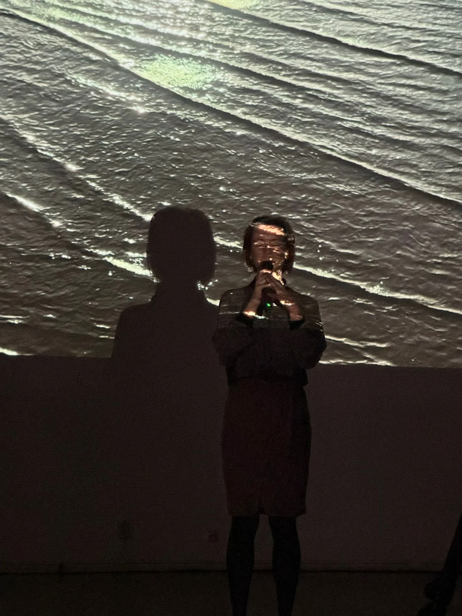 Image of the artist Fiona Brehony standing in front of an image of water