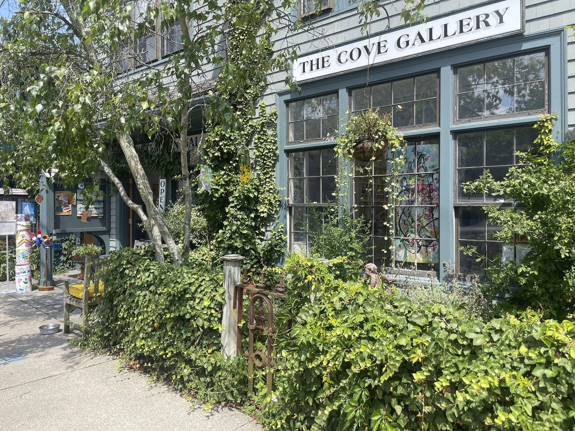 Cove Gallery