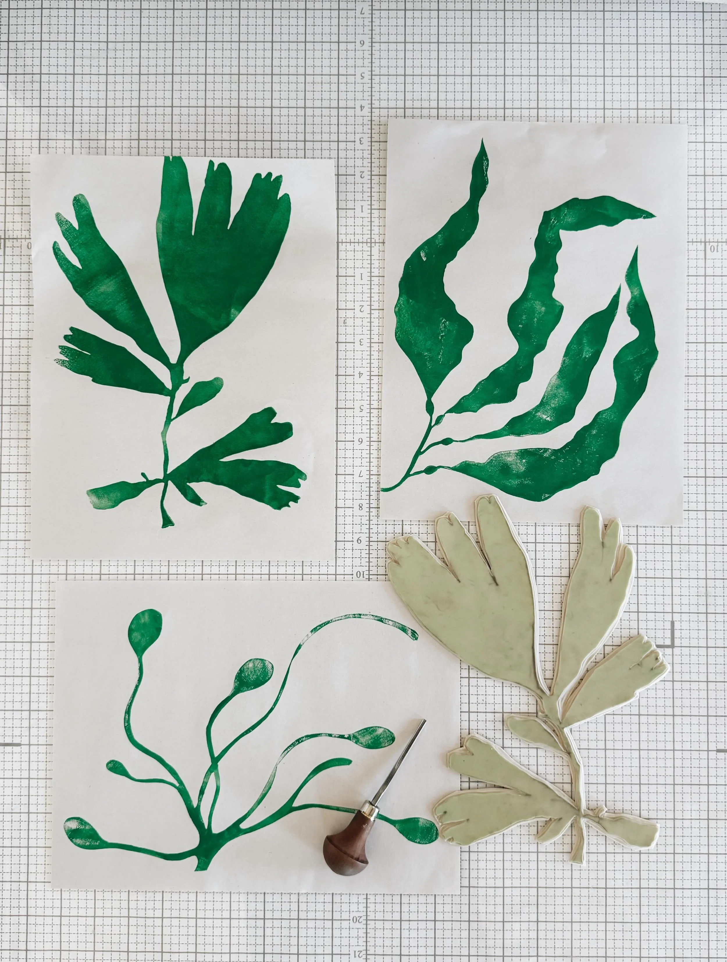 Seaweed studies