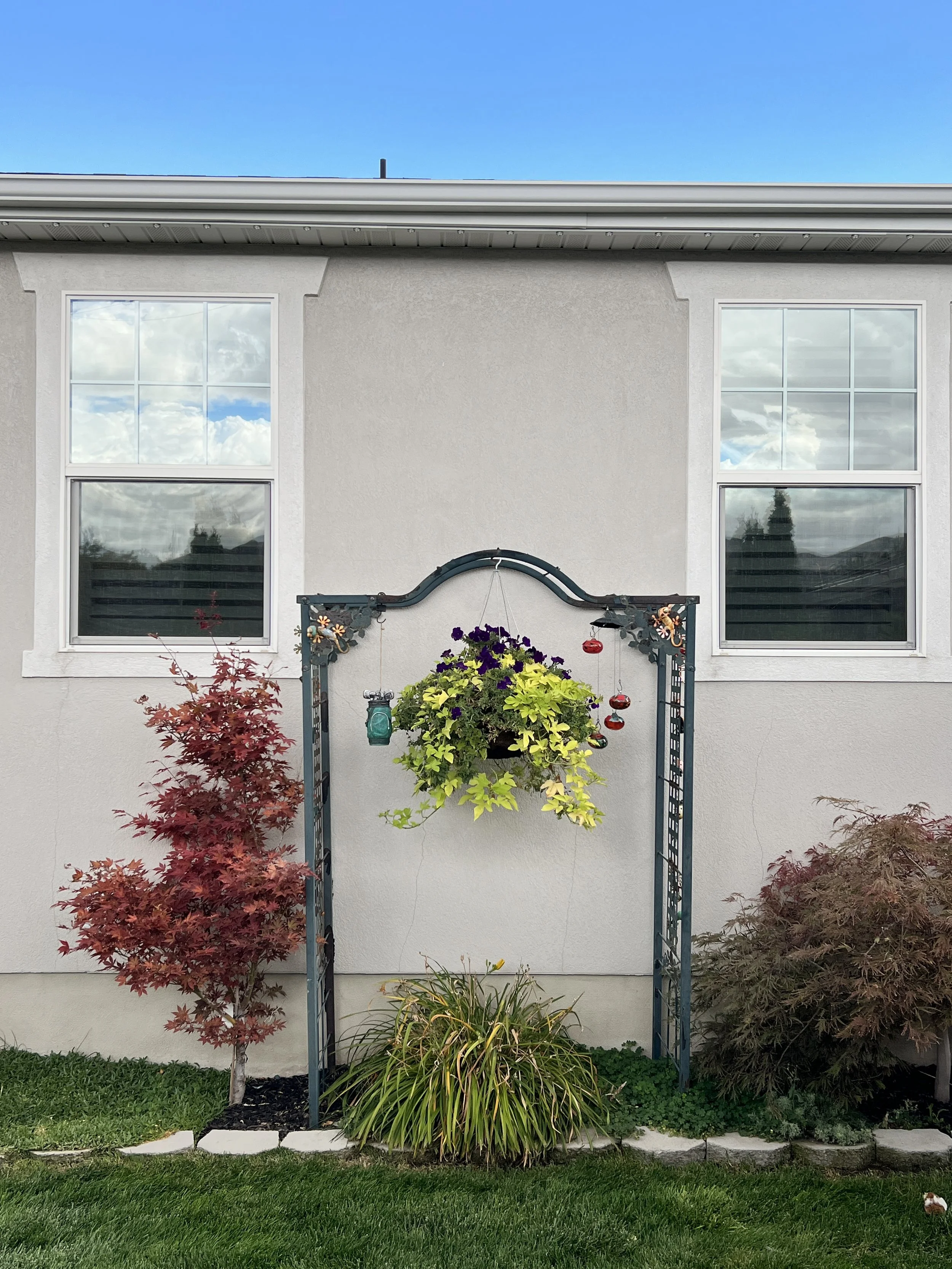 Front yard garden with red and green leafy bushes, a decorative black metal garden arch with hanging flowers and decorations, and two windows on a white stucco house under a blue sky.