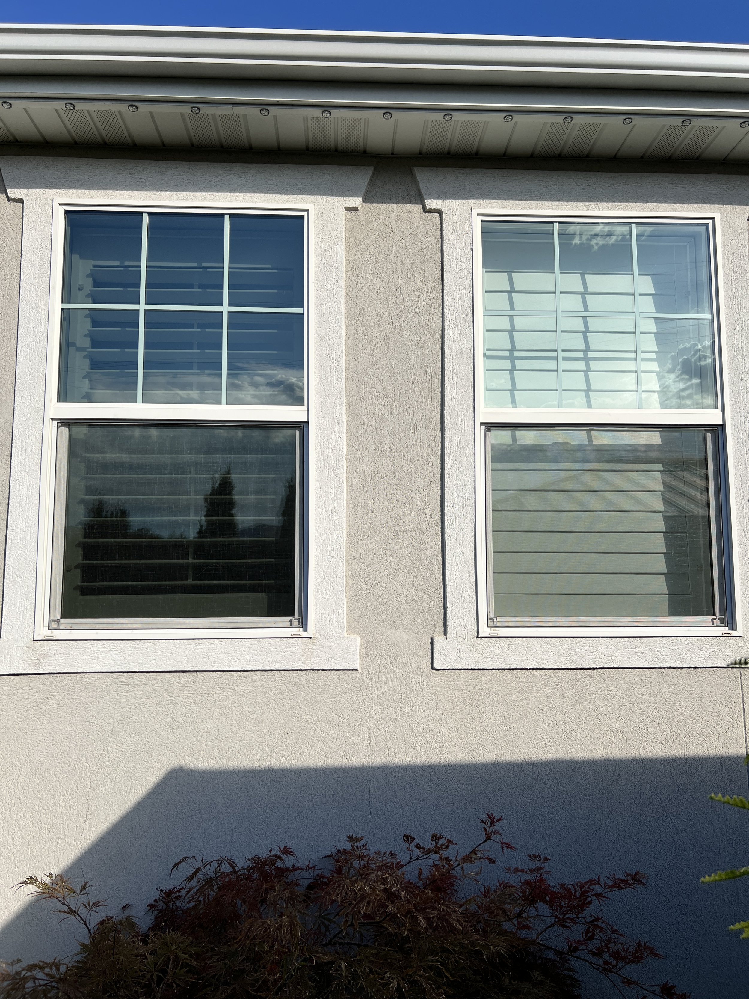 Front exterior of a house with two large windows, white frames, and a textured beige wall. Shadows cast on the wall and a bush with reddish leaves at the bottom.