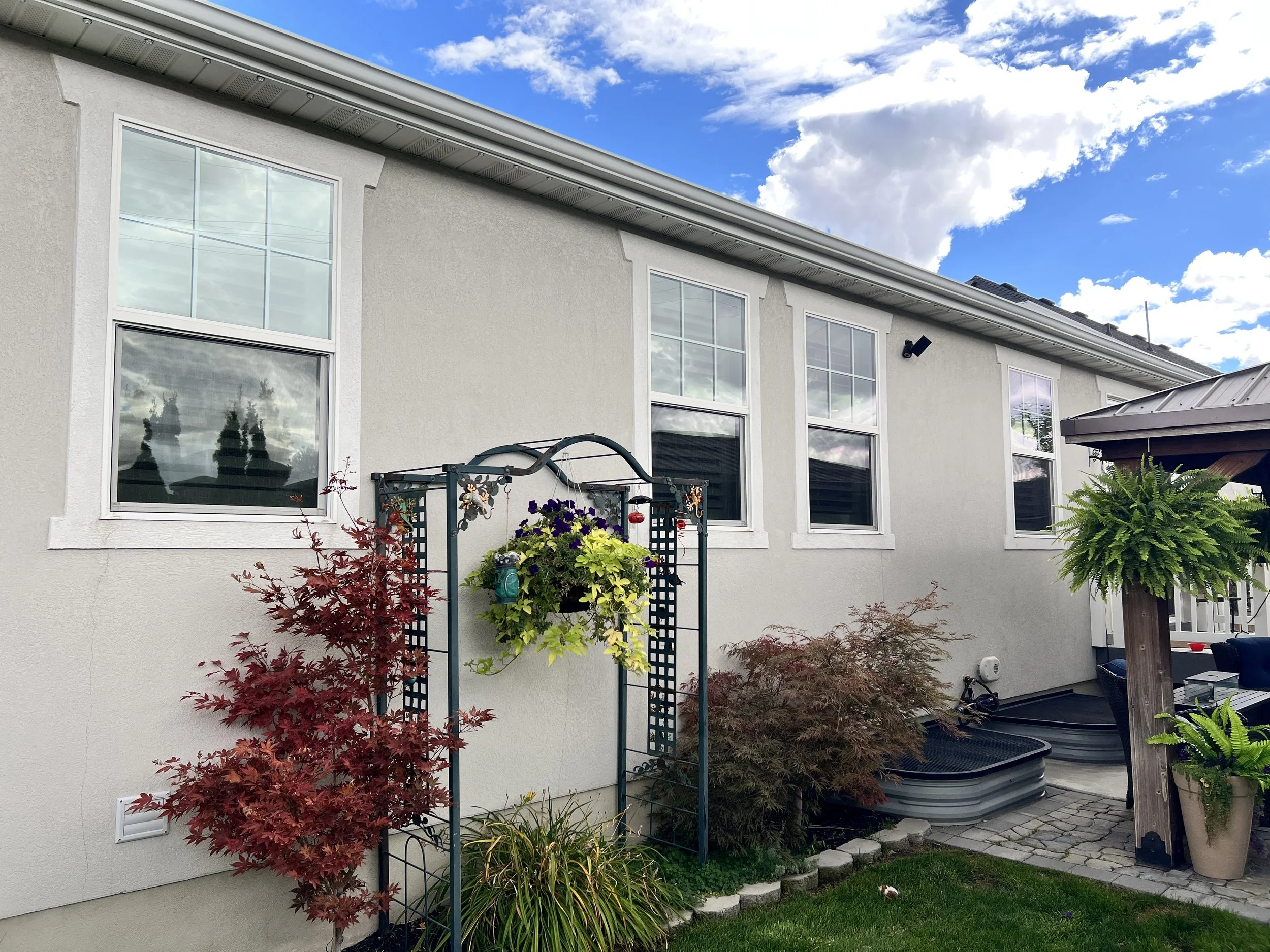 Backyard of a house with four large windows, a garden with red and green plants, hanging flower pots, and a small above-ground pool.