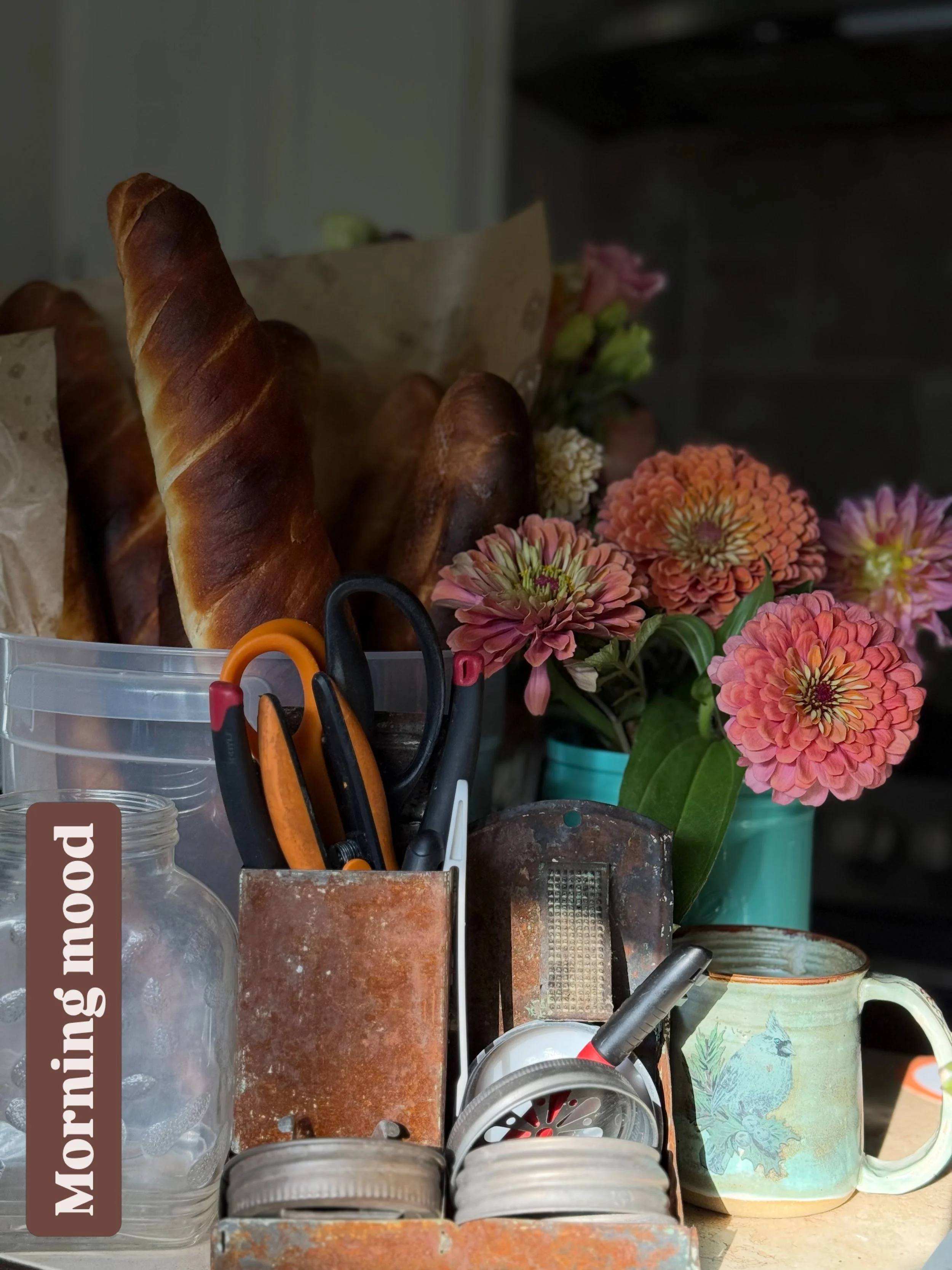 Thursday is simpler because of Wednesday's baking!

And the great shift is happening in the dirt! 

Full story for email subscribers!

ALL the love in Jesus,
Roxy