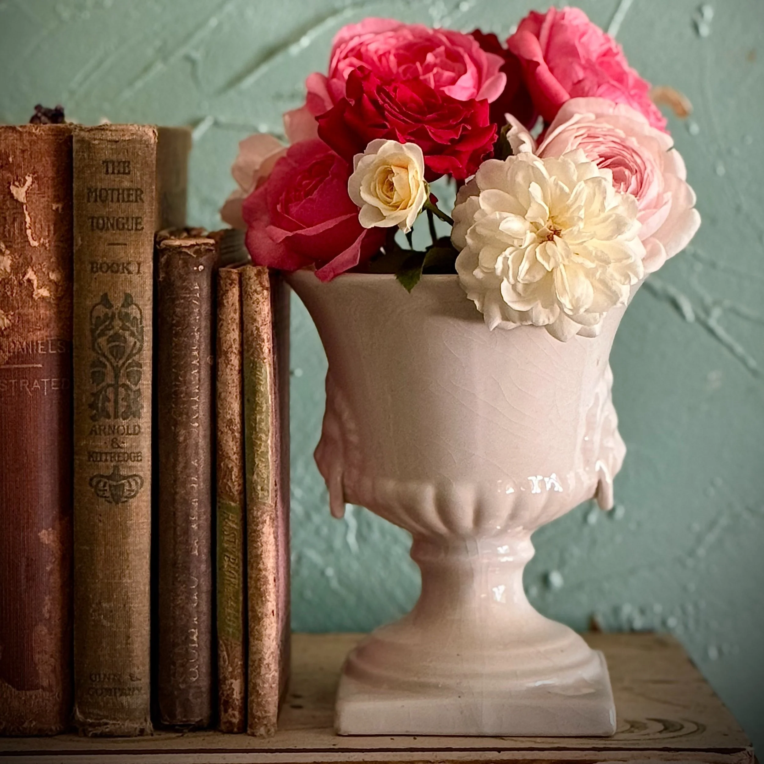 14.

Fourteen is the number of Rose Bushes we are adding to Subherbs &amp; blooms.

Like life, the most glorious roses are fragrant and come with thorns. I love the resilience and splendor of Garden Roses. Though I have purchased from @heirloomroses 