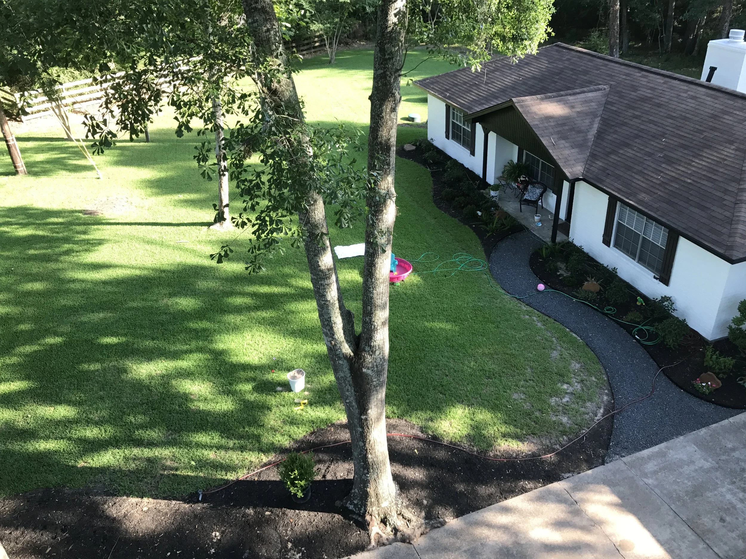 A treehouse view looking down at a bright green lush St. Augustine lawn front yard of a small single story white brick home in Willis Tx. 