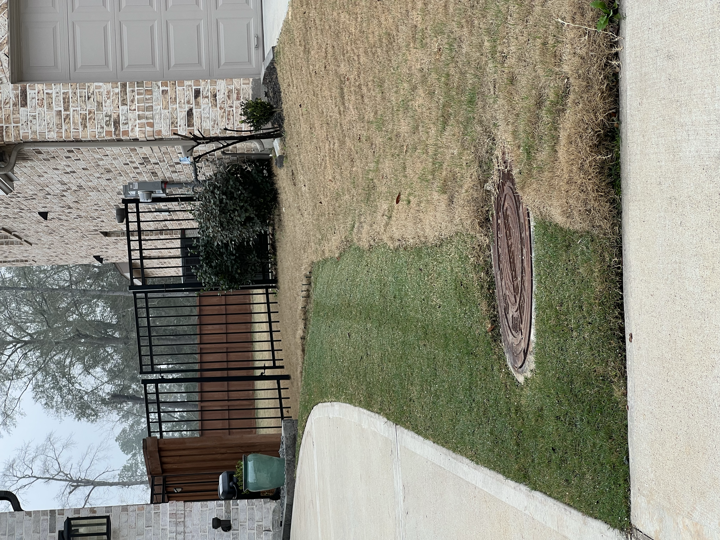 Two neighboring lawns contrasting the stark difference at the property line of a properly treated and cut lawn we treat next to a dormant shaggy lawn we don't. 