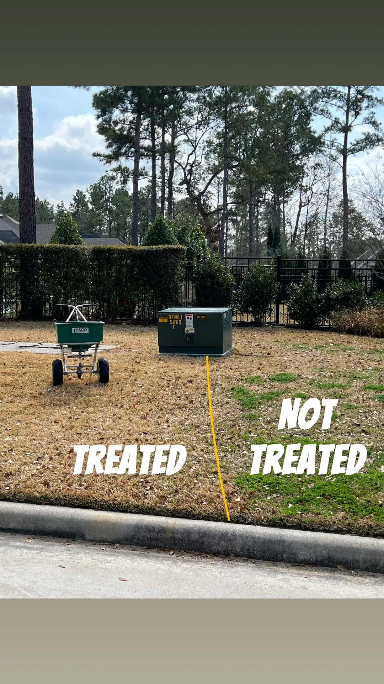 A picture of the difference between a dormant Bermuda lawn with weeds and without weeds with a stark yellow line showing the property line. 