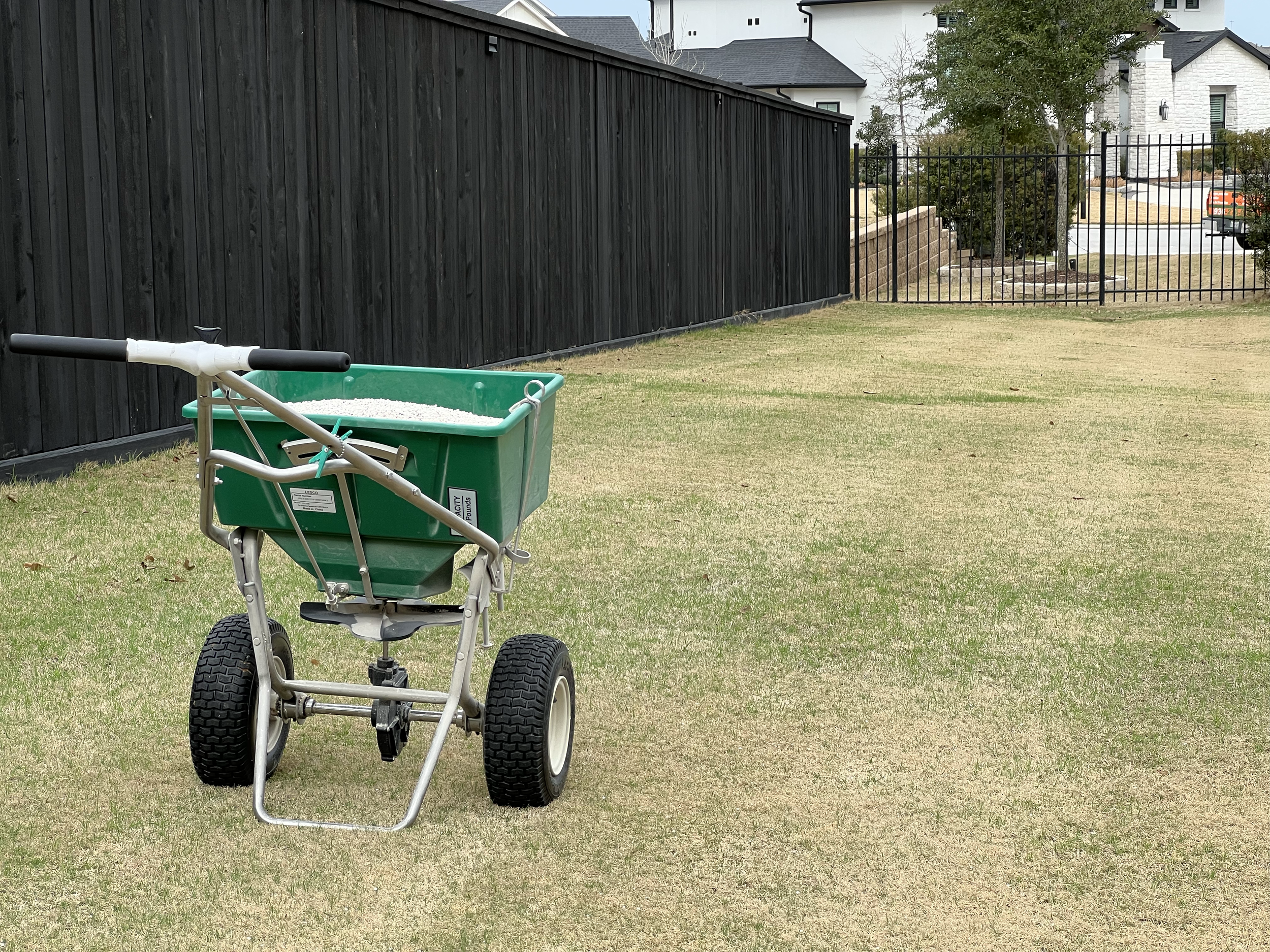 A picture of a commercial grade Lesco Spreader sitting on a freshly mowed Bermuda Lawn bordered by a black fence. 