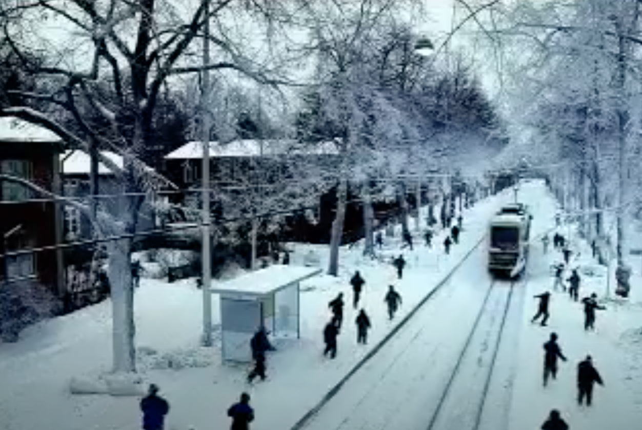 Screen Shot 2021-03-14 at 10.04.09 AM.png