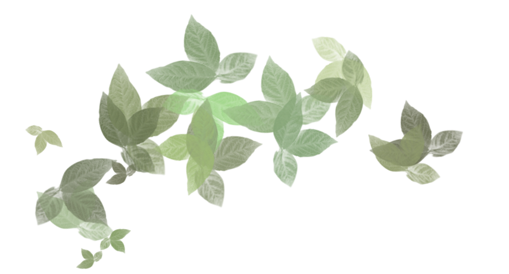 Illustration of green leaves in a pattern.