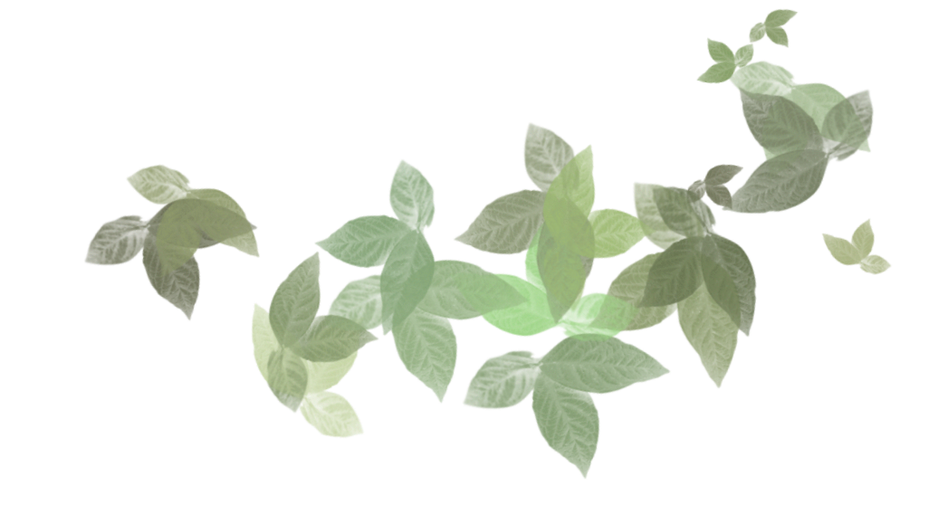 Digital illustration of green leaves from a plant against a transparent background.
