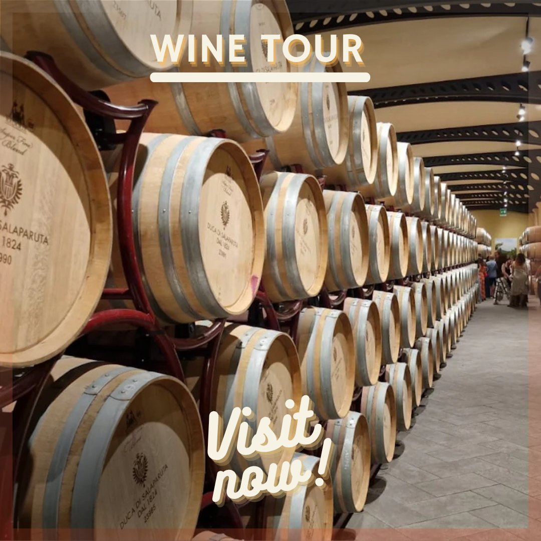 DEGUSTAZIONE VINI  DUCA DI SALAPARUTA