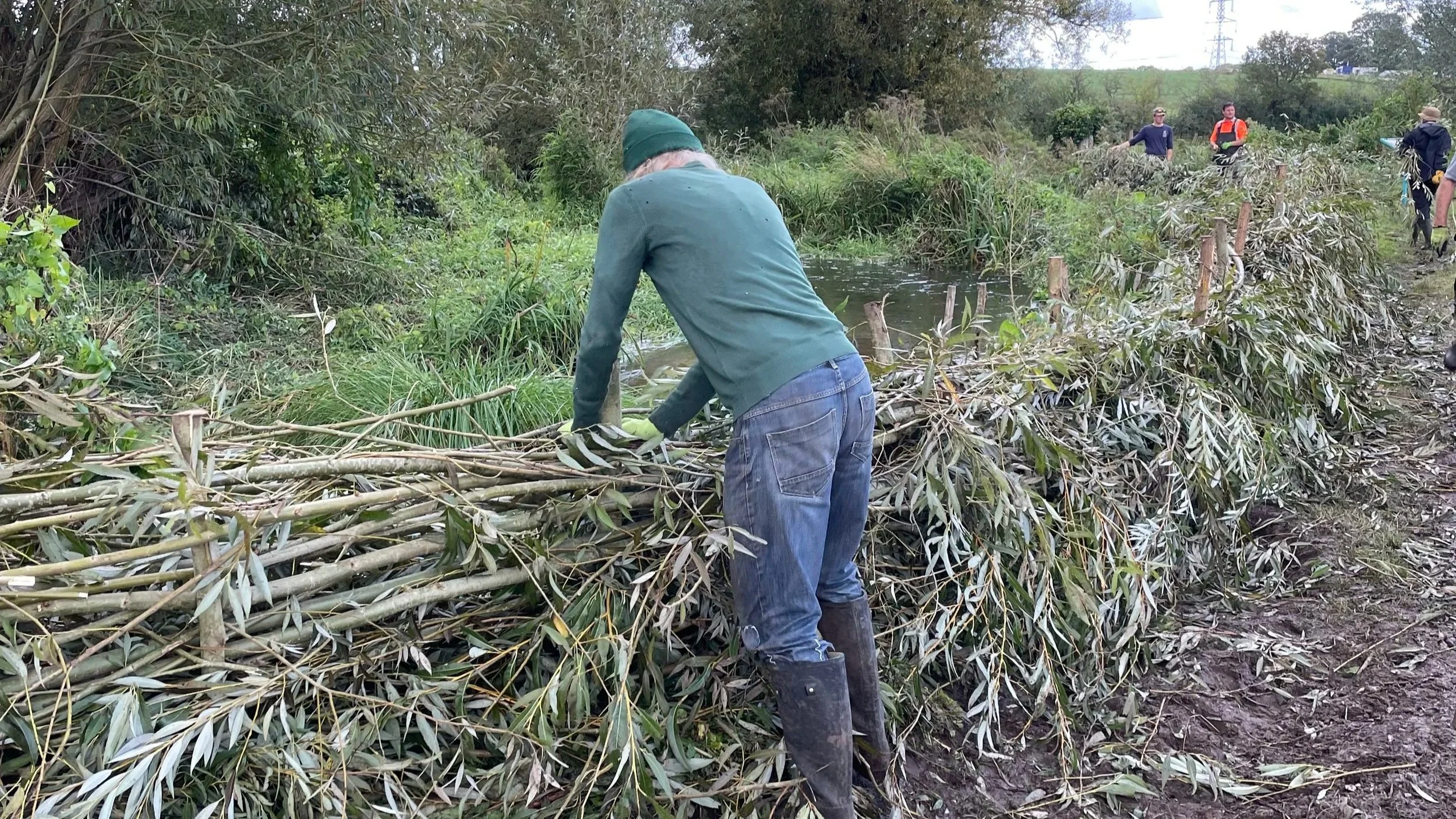 Community Hedge Survey - with lunch! 